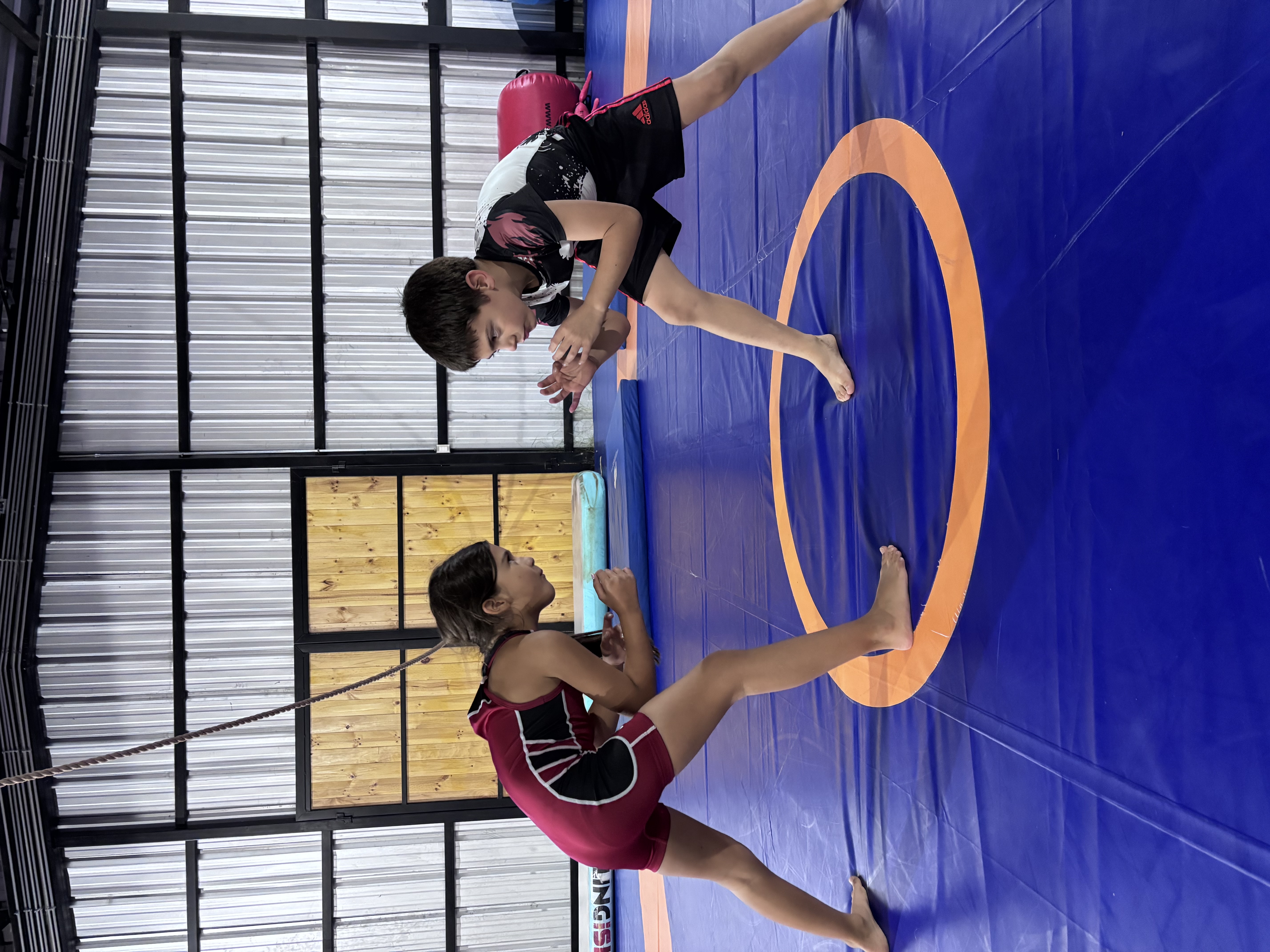 Wrestling